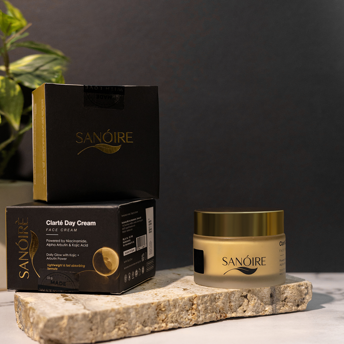 Clarté Day Cream face moisturizer jar and packaging on stone slab with plant in background